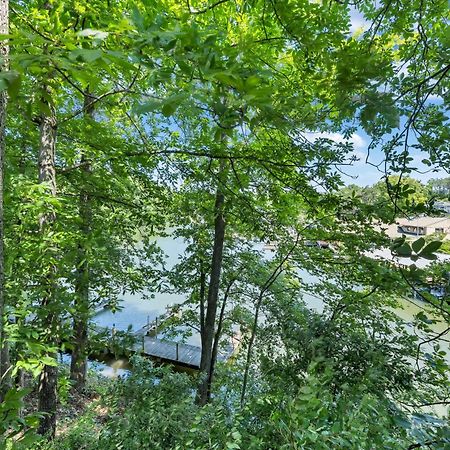 Halesford Harbour Resort - Smith Mountain Lake Moneta المظهر الخارجي الصورة